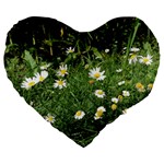 Wild Daisy summer Flowers Large 19  Premium Flano Heart Shape Cushions Front