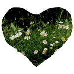 Wild Daisy summer Flowers Large 19  Premium Flano Heart Shape Cushions Back