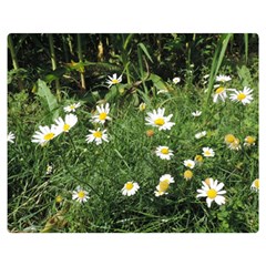 Wild Daisy Summer Flowers Double Sided Flano Blanket (medium) 