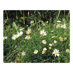 Wild Daisy Summer Flowers Double Sided Flano Blanket (large) 