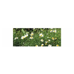 Wild Daisy Summer Flowers Satin Scarf (oblong)