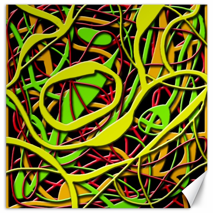 Snake bush Canvas 20  x 20  