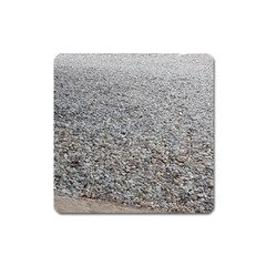 Pebble Beach Photography Ocean Nature Square Magnet by yoursparklingshop