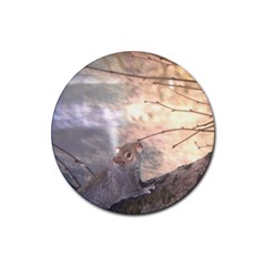 Sunrise Squirrel Drink Coaster (round)