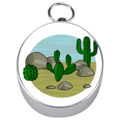 Desert Silver Compasses