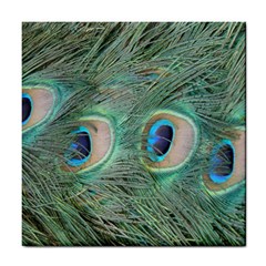 Peacock Feathers Macro Tile Coasters by GiftsbyNature