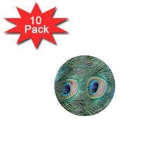 Peacock Feathers Macro 1  Mini Magnet (10 Pack)  by GiftsbyNature