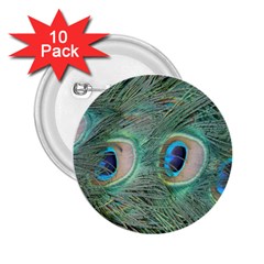 Peacock Feathers Macro 2 25  Buttons (10 Pack)  by GiftsbyNature