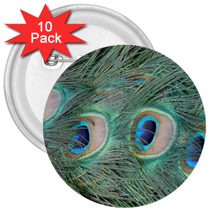 Peacock Feathers Macro 3  Buttons (10 pack) 