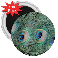 Peacock Feathers Macro 3  Magnets (100 Pack)