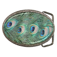 Peacock Feathers Macro Belt Buckles by GiftsbyNature