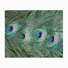 Peacock Feathers Macro Small Glasses Cloth by GiftsbyNature