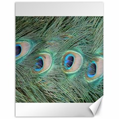 Peacock Feathers Macro Canvas 18  X 24   by GiftsbyNature