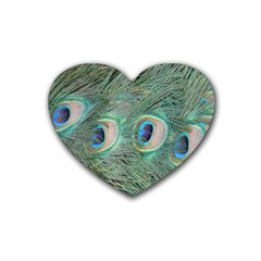 Peacock Feathers Macro Heart Coaster (4 Pack)  by GiftsbyNature