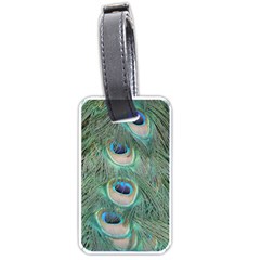 Peacock Feathers Macro Luggage Tag (one Side) by GiftsbyNature