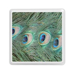 Peacock Feathers Macro Memory Card Reader (square)  by GiftsbyNature