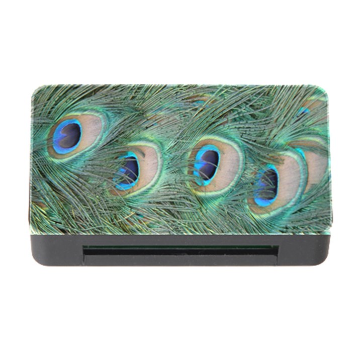 Peacock Feathers Macro Memory Card Reader with CF