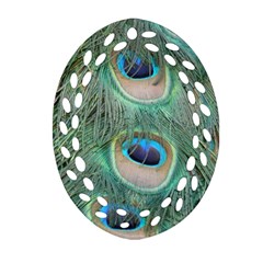 Peacock Feathers Macro Oval Filigree Ornament (2-side) 