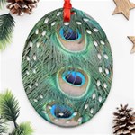 Peacock Feathers Macro Oval Filigree Ornament (2-Side)  Front