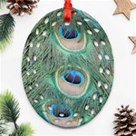 Peacock Feathers Macro Oval Filigree Ornament (2-Side)  Back