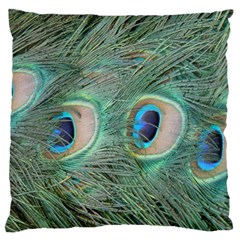 Peacock Feathers Macro Large Cushion Case (one Side) by GiftsbyNature