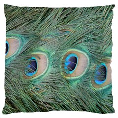 Peacock Feathers Macro Large Flano Cushion Case (two Sides) by GiftsbyNature