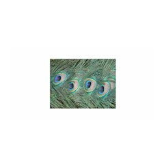 Peacock Feathers Macro Satin Wrap by GiftsbyNature