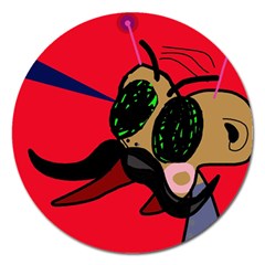 Mr Fly Magnet 5  (round)