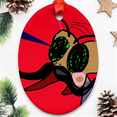 Mr Fly Oval Ornament (two Sides)