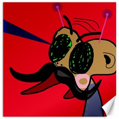 Mr Fly Canvas 12  X 12  