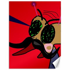 Mr Fly Canvas 12  X 16  