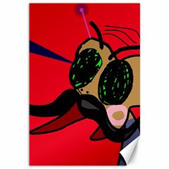 Mr Fly Canvas 12  X 18  