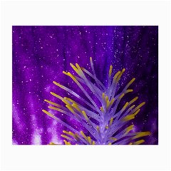 Purple Iris Glasses Cloth (small, Two Sided) by PhotoThisxyz