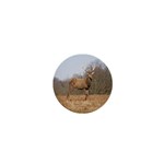 Red Deer Stag on a Hill 1  Mini Buttons Front