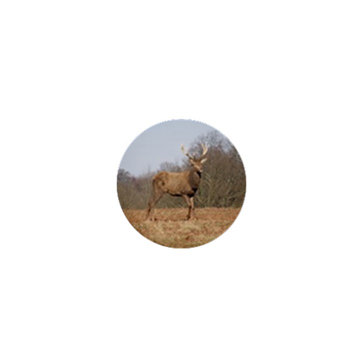 Red Deer Stag on a Hill 1  Mini Buttons