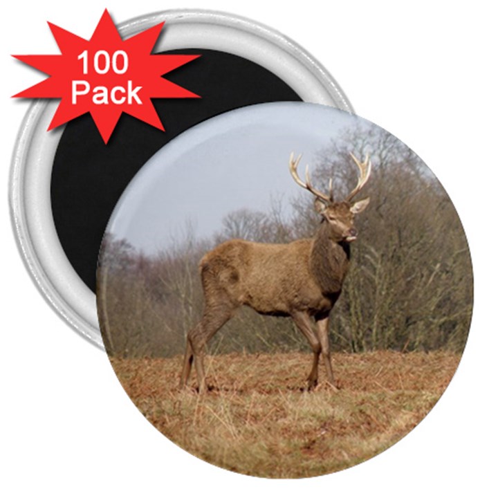 Red Deer Stag on a Hill 3  Magnets (100 pack)