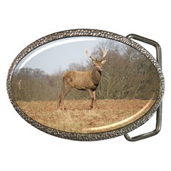 Red Deer Stag On A Hill Belt Buckles by GiftsbyNature