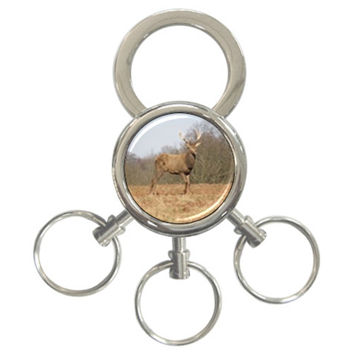 Red Deer Stag on a Hill 3-Ring Key Chains