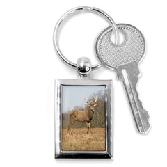 Red Deer Stag on a Hill Key Chains (Rectangle) 