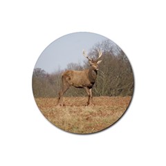 Red Deer Stag On A Hill Rubber Coaster (round)  by GiftsbyNature