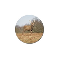 Red Deer Stag On A Hill Golf Ball Marker by GiftsbyNature