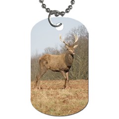 Red Deer Stag on a Hill Dog Tag (Two Sides)