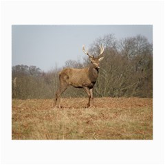 Red Deer Stag On A Hill Small Glasses Cloth by GiftsbyNature