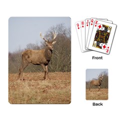 Red Deer Stag on a Hill Playing Card