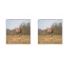 Red Deer Stag on a Hill Cufflinks (Square)