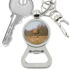 Red Deer Stag on a Hill Bottle Opener Key Chains