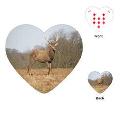 Red Deer Stag on a Hill Playing Cards (Heart) 