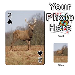 Red Deer Stag on a Hill Playing Cards 54 Designs 