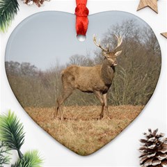 Red Deer Stag on a Hill Heart Ornament (2 Sides)