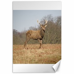 Red Deer Stag On A Hill Canvas 12  X 18   by GiftsbyNature